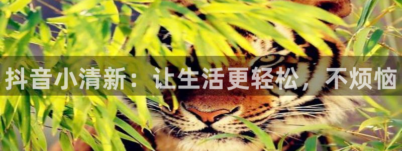 众腾娱乐：抖音小清新：让生活更轻松，不烦恼