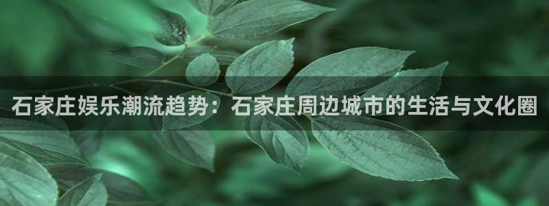 众腾娱乐：石家庄娱乐潮流趋势：石家庄周边城市的生活与文化圈