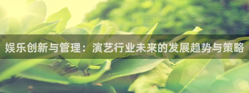 众腾娱乐：娱乐创新与管理：演艺行业未来的发展趋势与策略