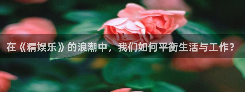 众腾娱乐：在《精娱乐》的浪潮中，我们如何平衡生活与工作？