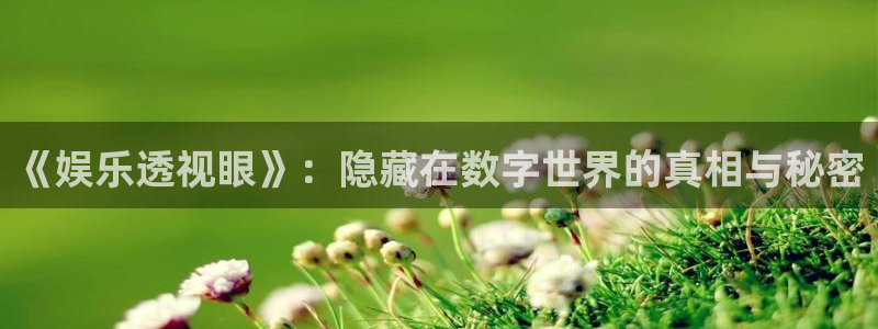 众腾娱乐：《娱乐透视眼》：隐藏在数字世界的真相与秘密