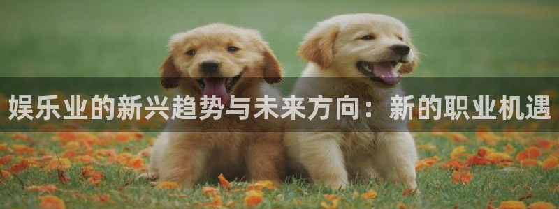 众腾娱乐：娱乐业的新兴趋势与未来方向：新的职业机遇