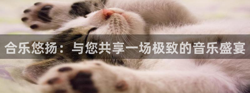 众腾娱乐：合乐悠扬：与您共享一场极致的音乐盛宴